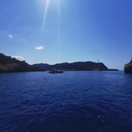 Charmant Appartement De Vacances Au Coeur D'Argeles ภายนอก รูปภาพ