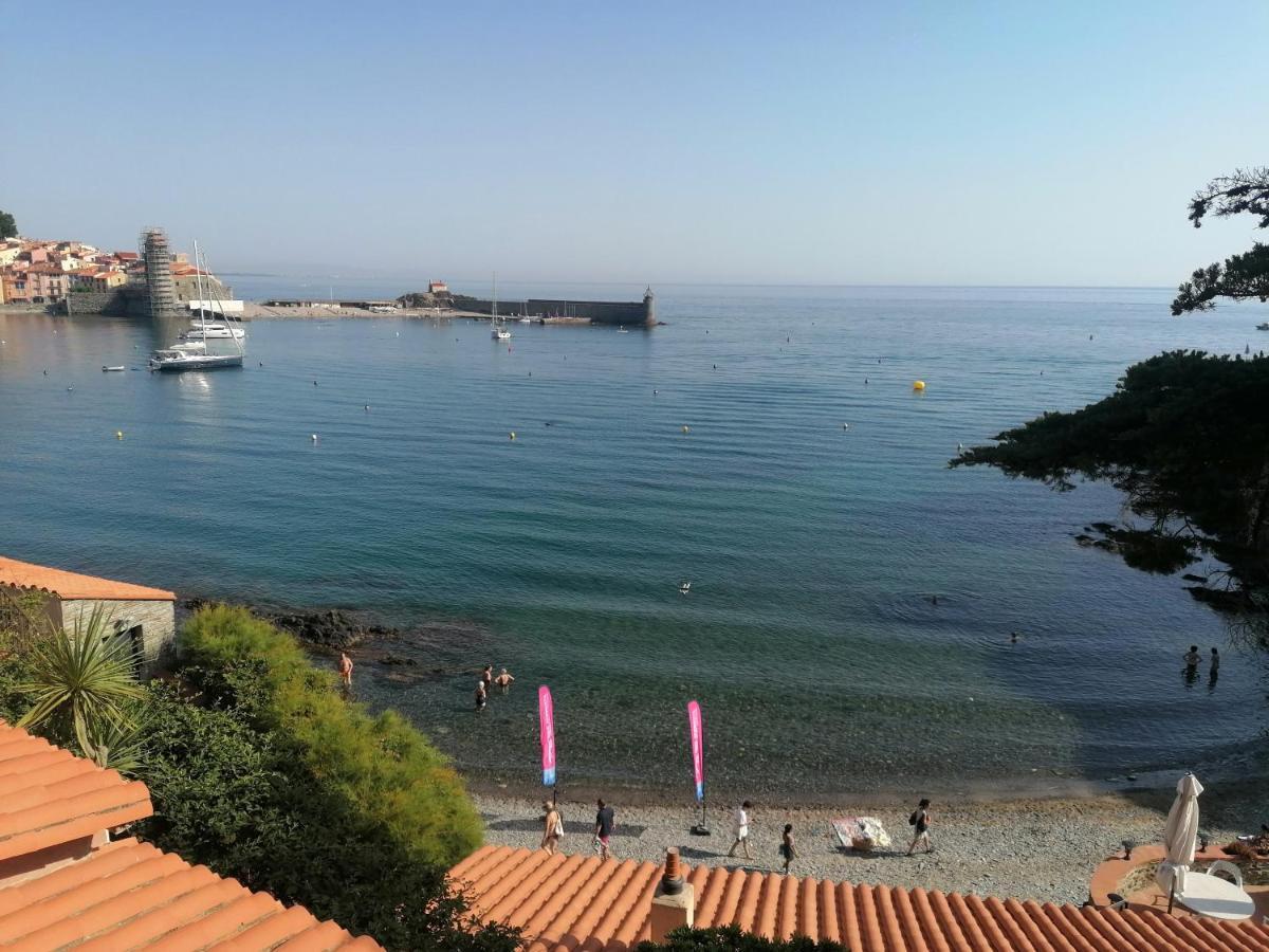 Charmant Appartement De Vacances Au Coeur D'Argeles ภายนอก รูปภาพ